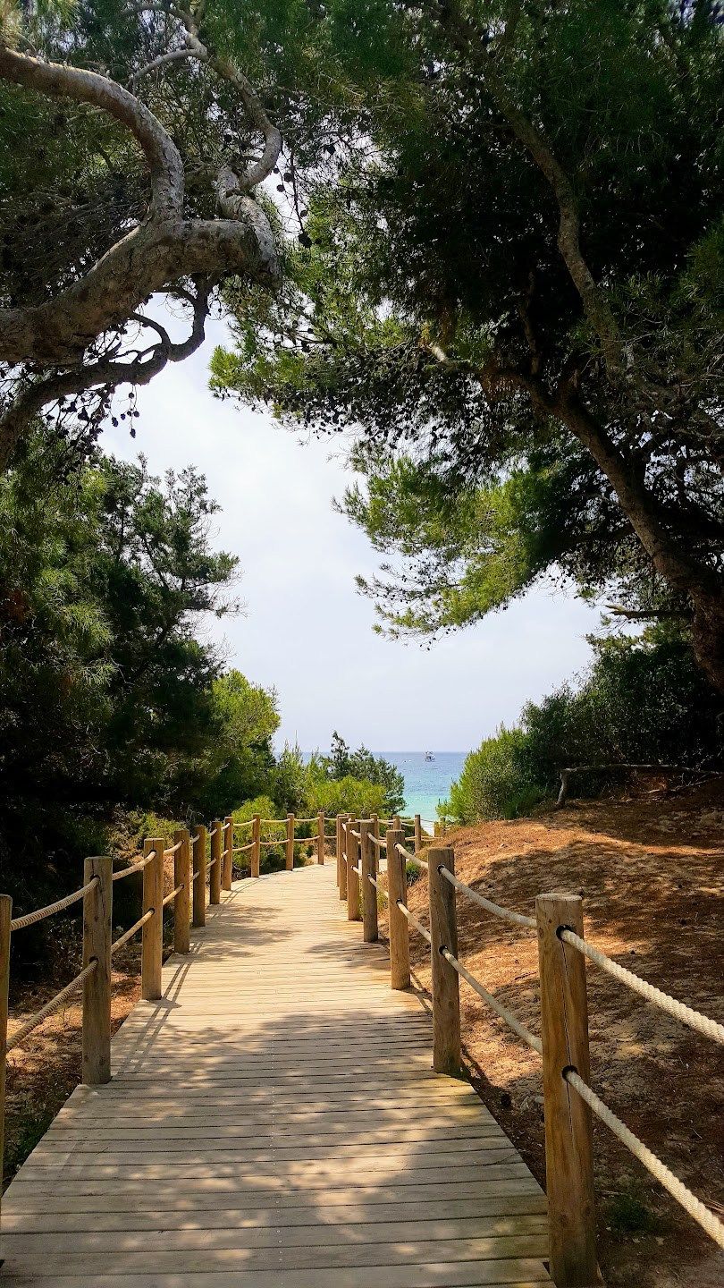 Camino al mar en Ibiza